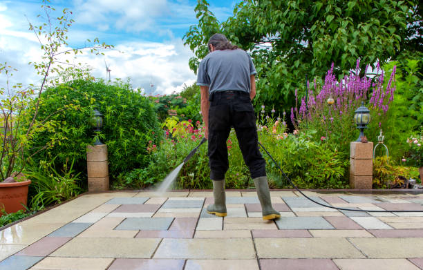 Best Winterizing Services  in Ames, IA